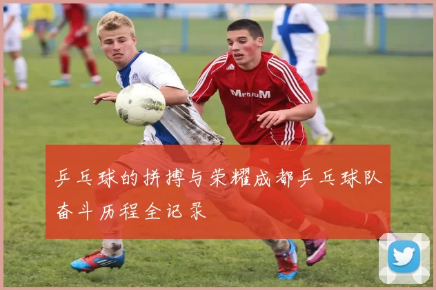乒乓球的拼搏与荣耀成都乒乓球队奋斗历程全记录